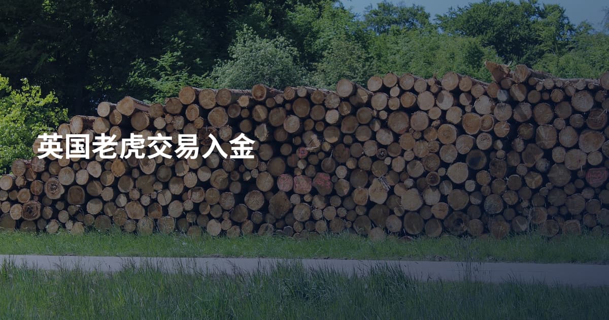 英国老虎交易入金