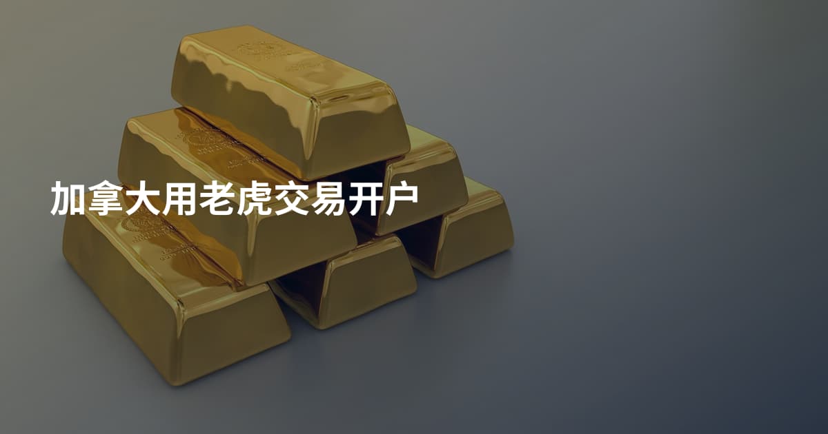 加拿大用老虎交易开户