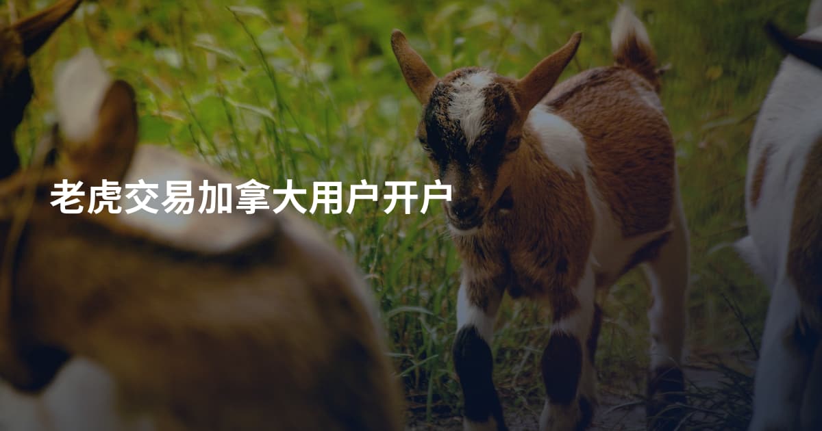 老虎交易加拿大用户开户