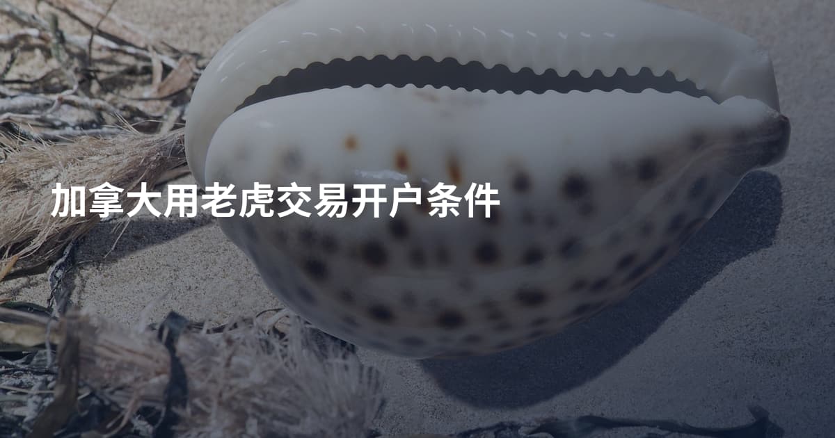 加拿大用老虎交易开户条件
