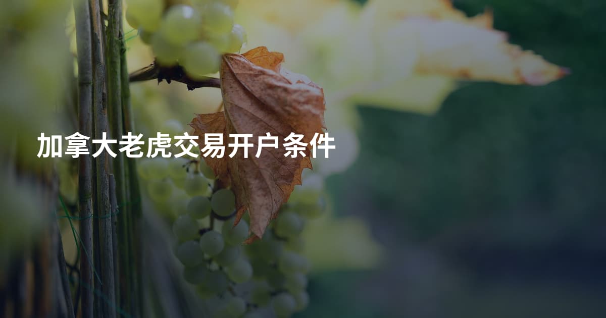 加拿大老虎交易开户条件