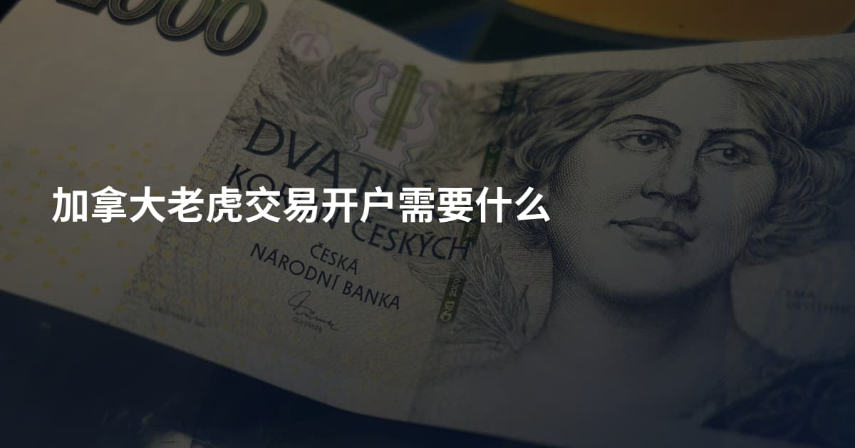 加拿大老虎交易开户需要什么