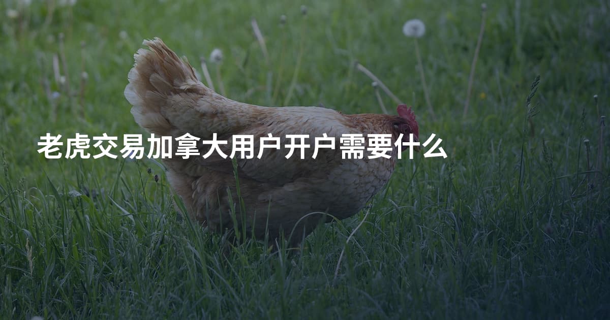 老虎交易加拿大用户开户需要什么