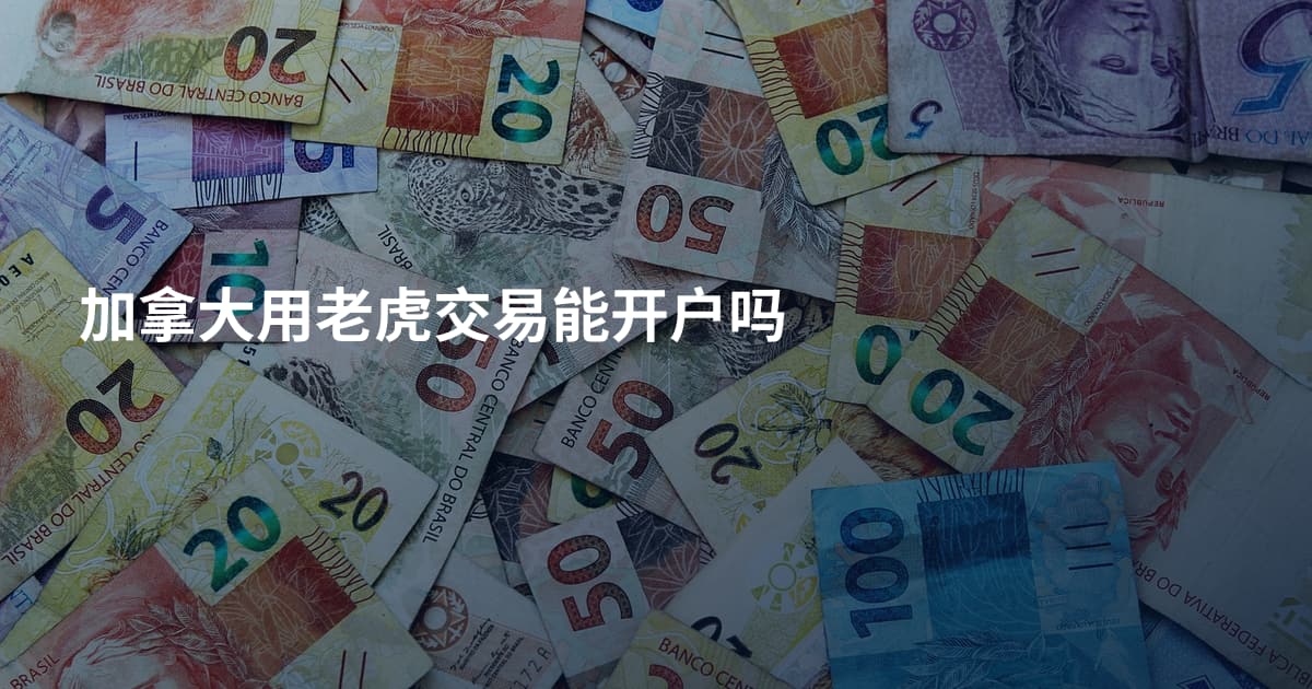 加拿大用老虎交易能开户吗