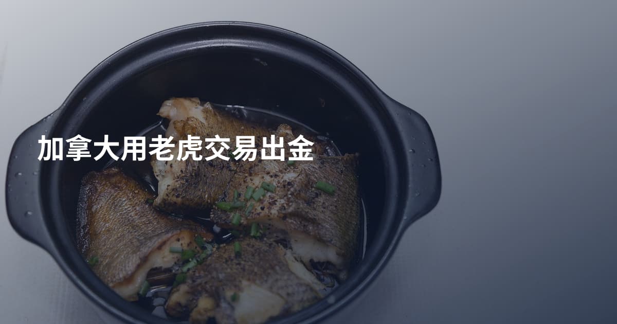 加拿大用老虎交易出金
