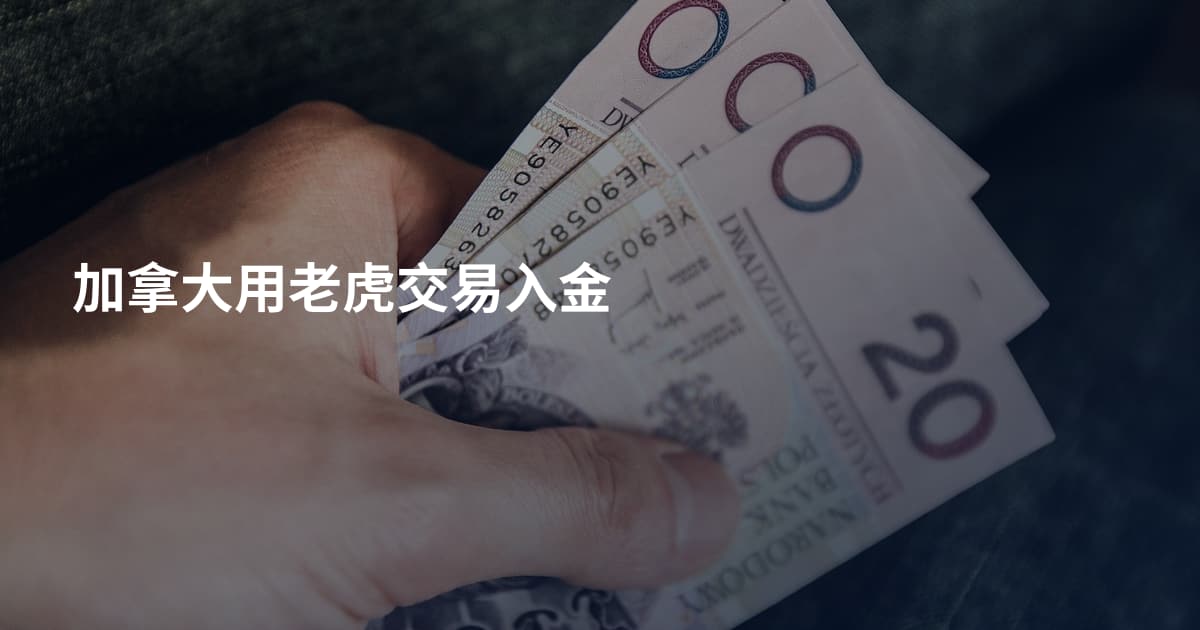加拿大用老虎交易入金