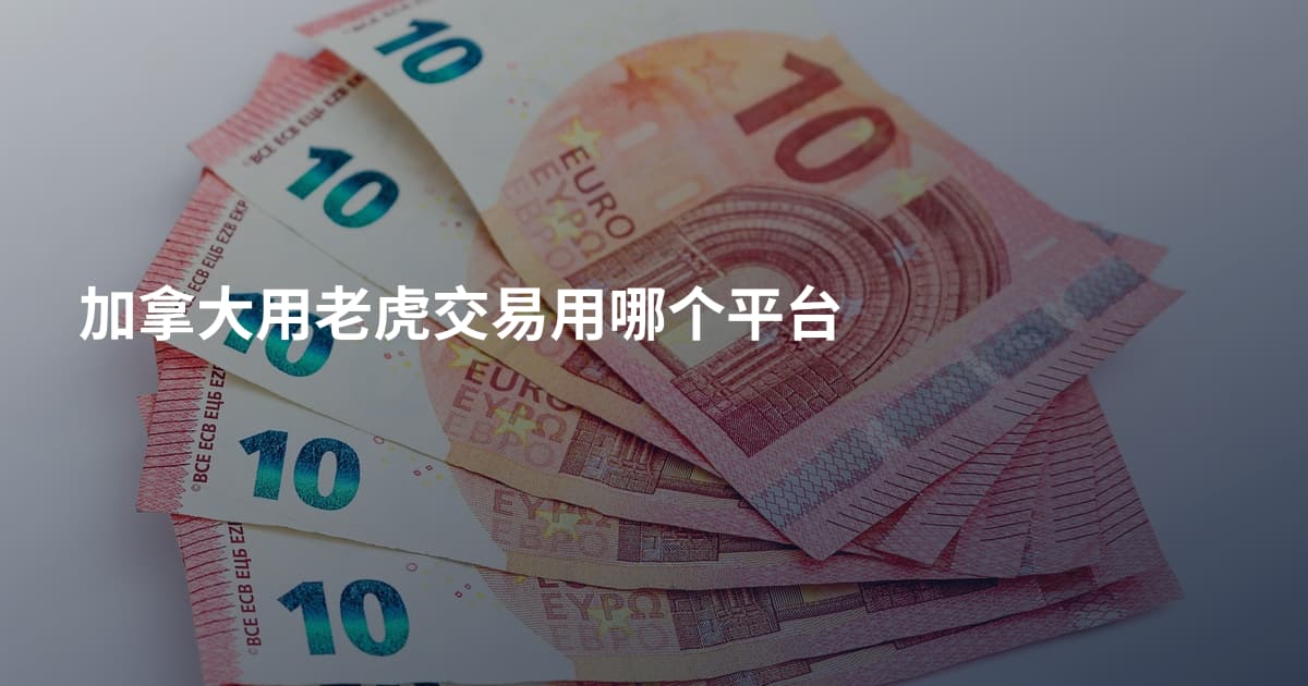 加拿大用老虎交易用哪个平台
