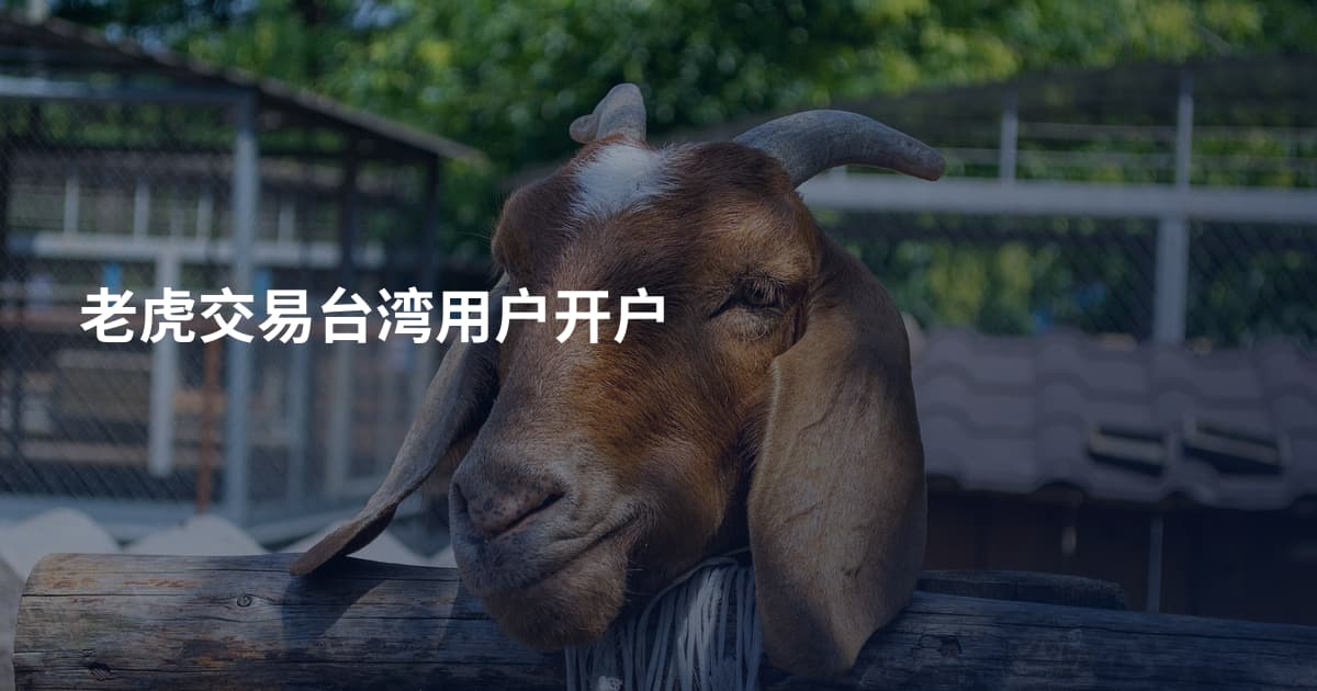 老虎交易台湾用户开户
