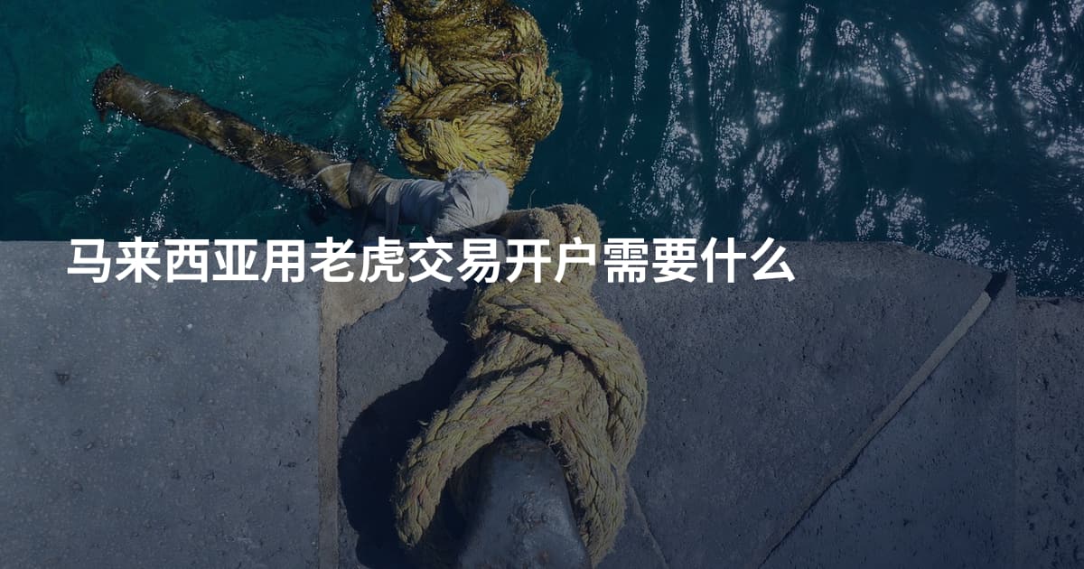 马来西亚用老虎交易开户需要什么