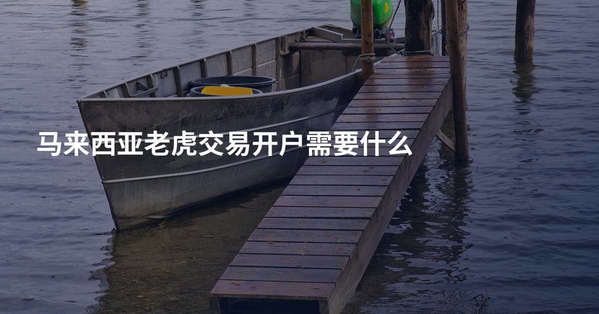 马来西亚老虎交易开户需要什么