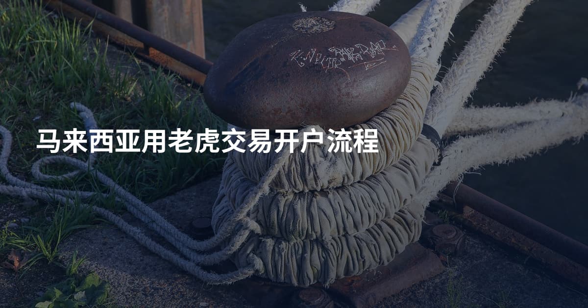 马来西亚用老虎交易开户流程
