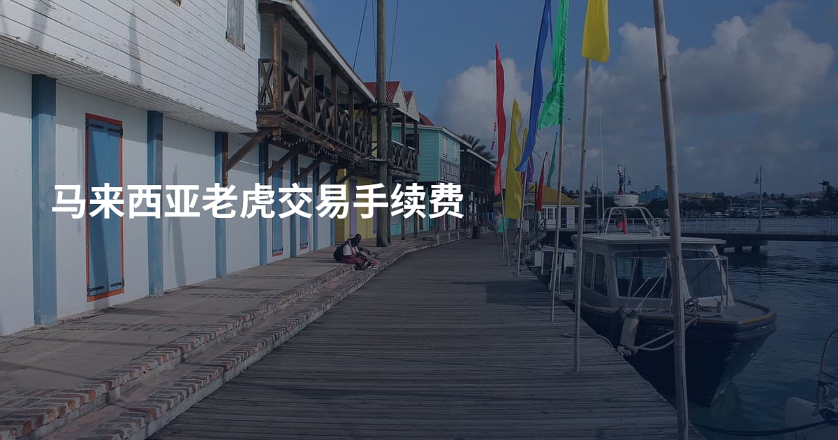 马来西亚老虎交易手续费