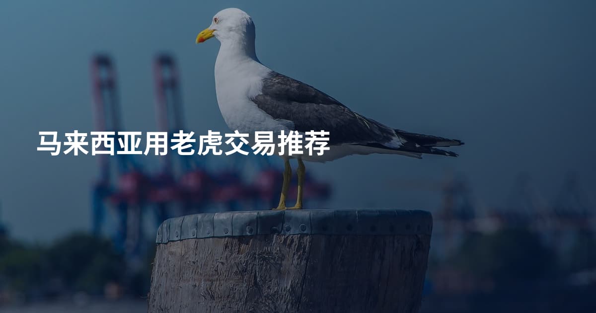 马来西亚用老虎交易推荐