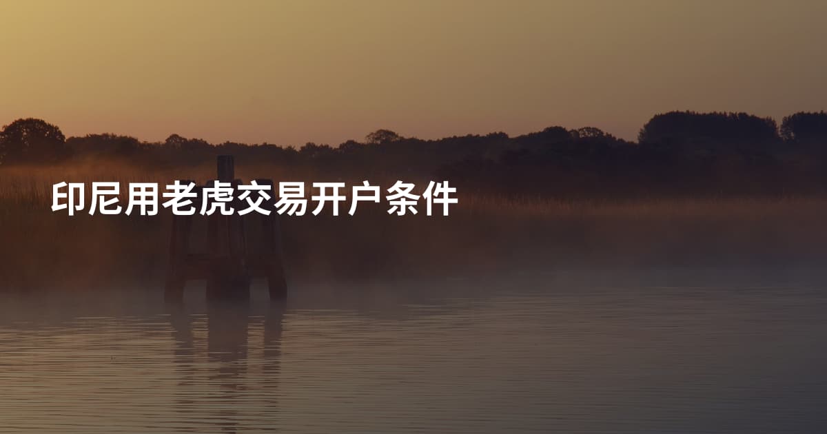 印尼用老虎交易开户条件