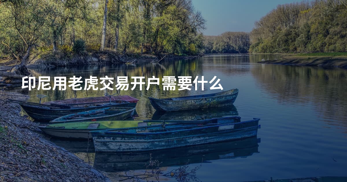 印尼用老虎交易开户需要什么