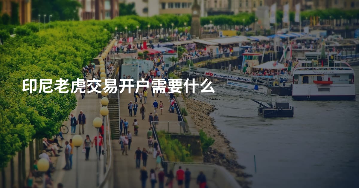 印尼老虎交易开户需要什么