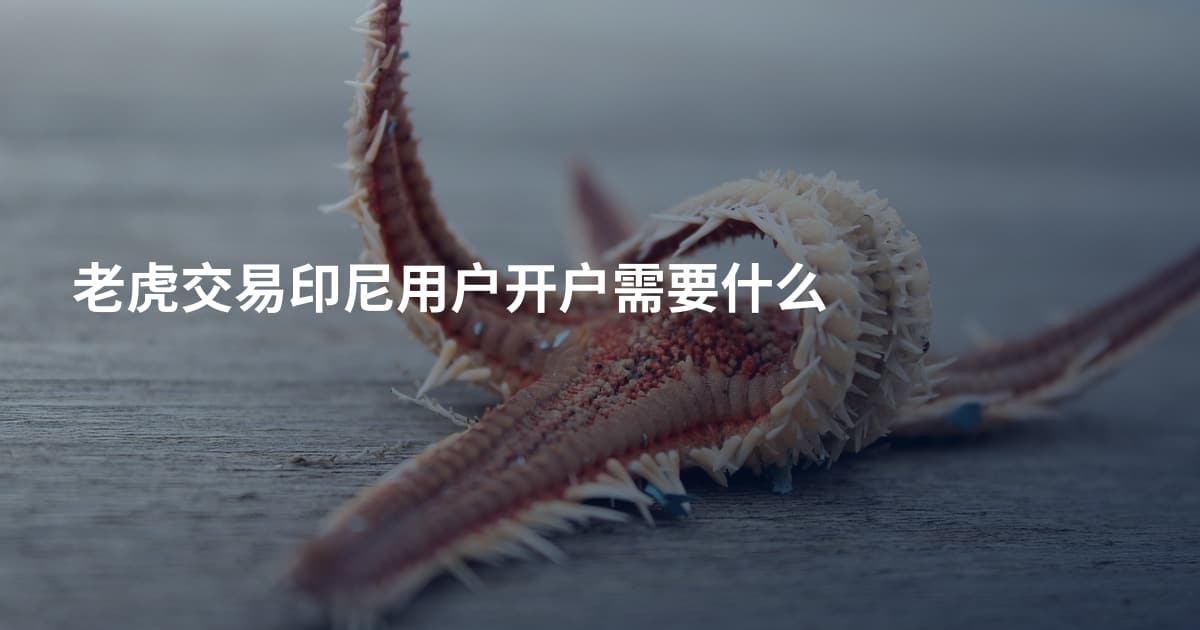 老虎交易印尼用户开户需要什么