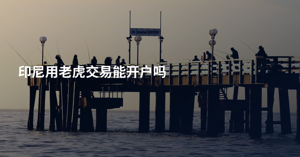 印尼用老虎交易能开户吗