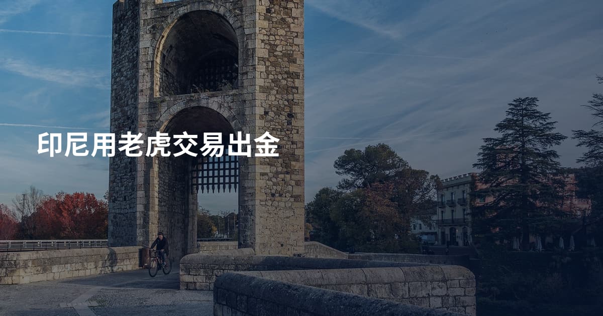 印尼用老虎交易出金