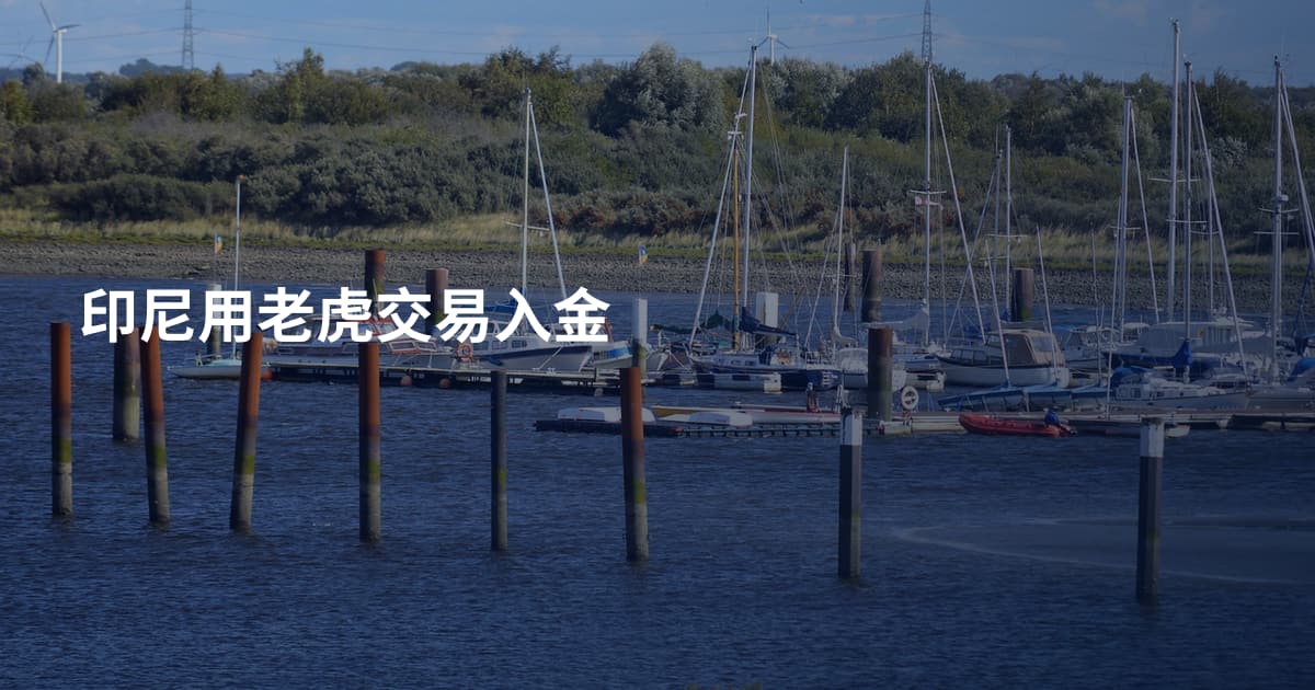 印尼用老虎交易入金