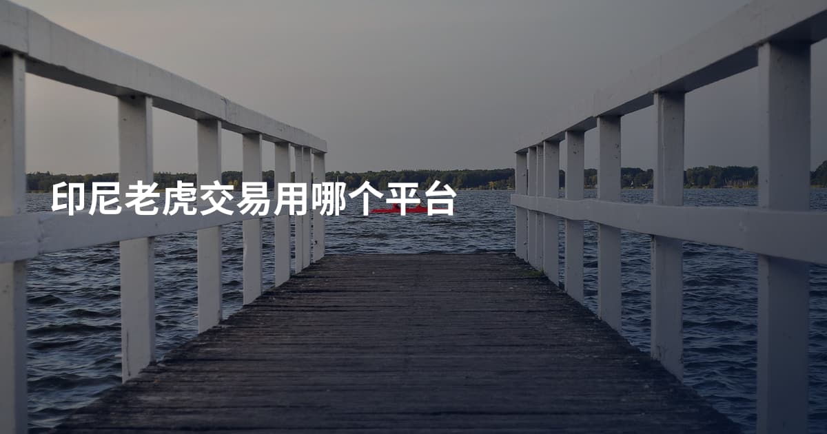 印尼老虎交易用哪个平台