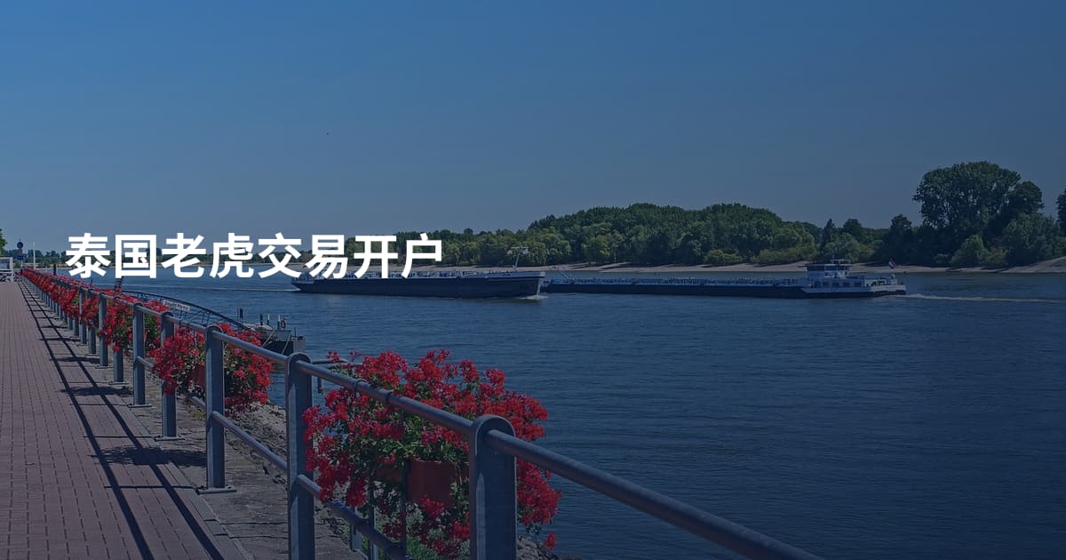 泰国老虎交易开户