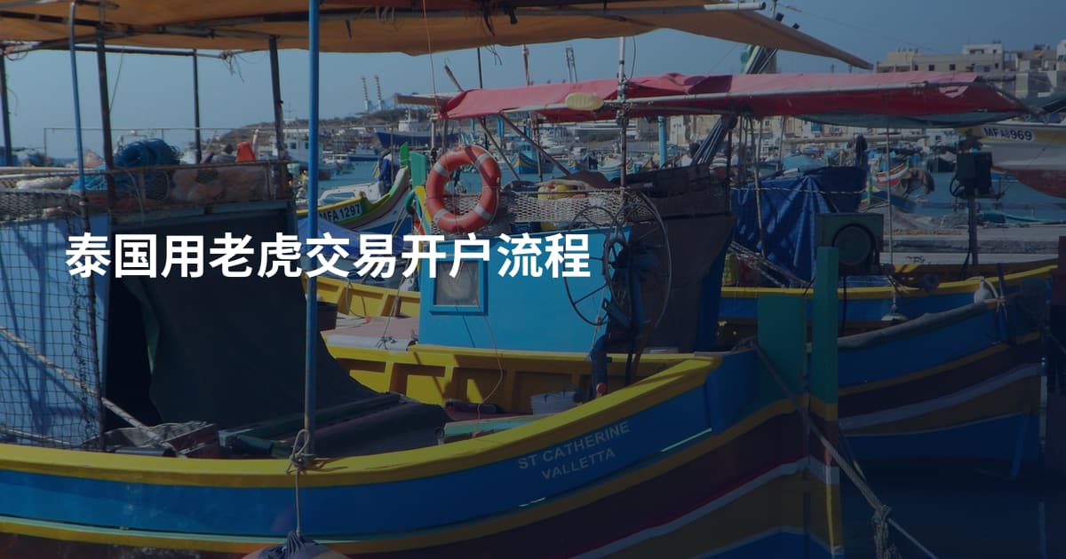 泰国用老虎交易开户流程
