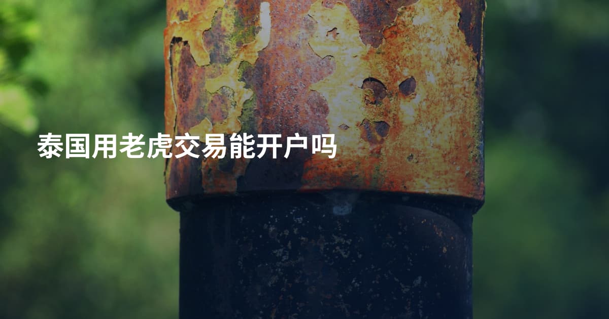 泰国用老虎交易能开户吗