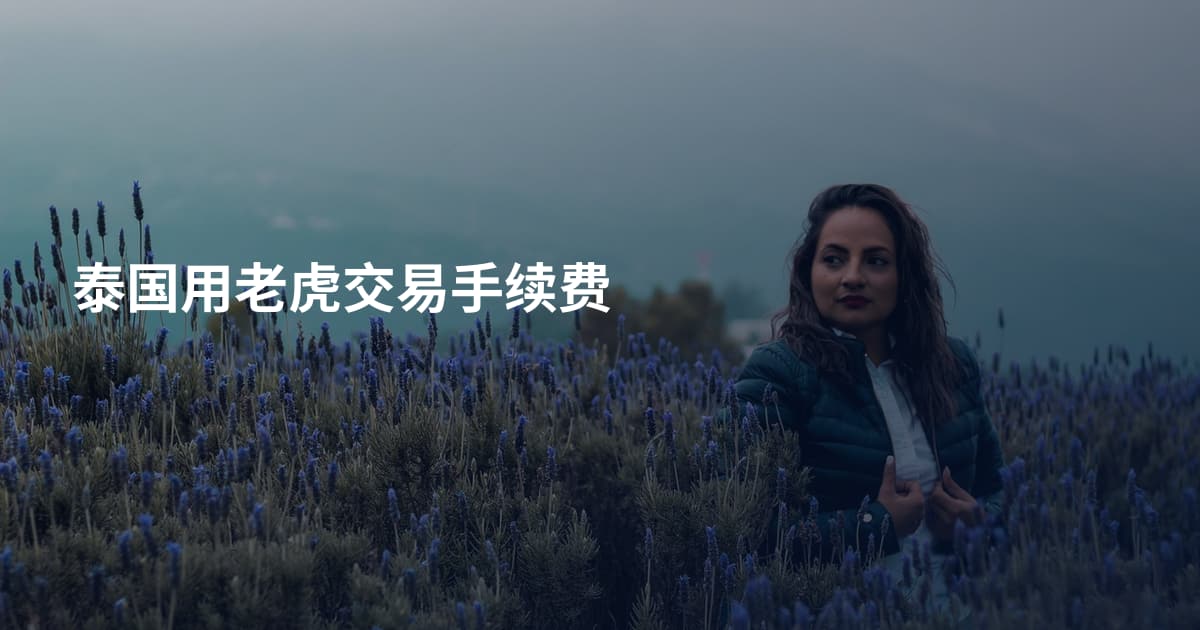 泰国用老虎交易手续费