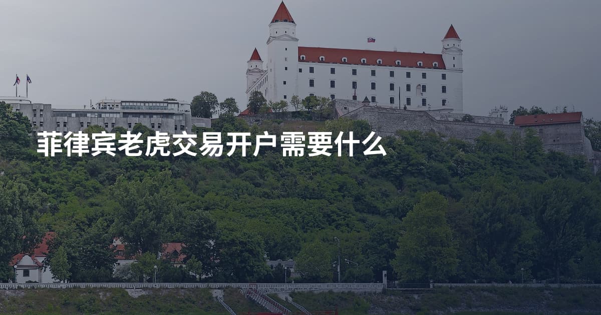 菲律宾老虎交易开户需要什么