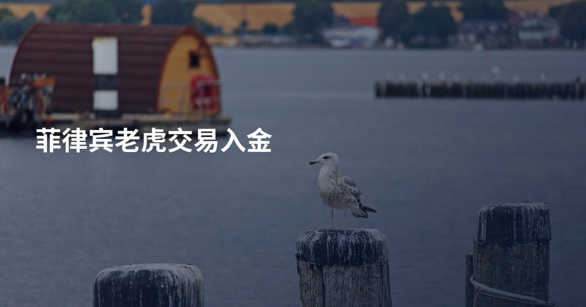 菲律宾老虎交易入金