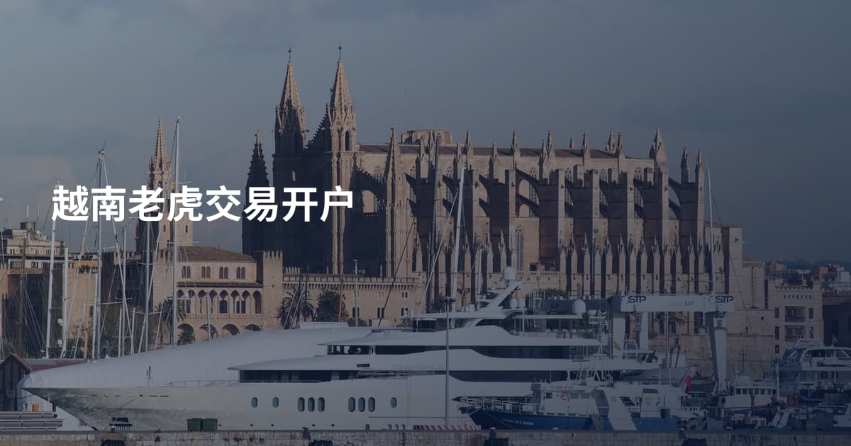越南老虎交易开户