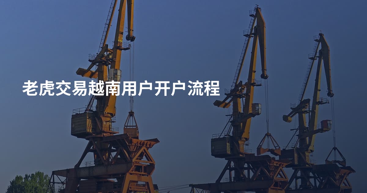 老虎交易越南用户开户流程