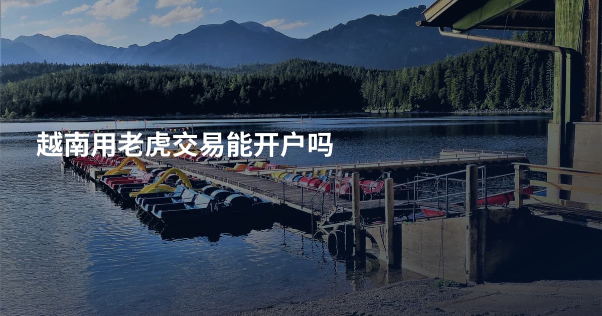 越南用老虎交易能开户吗