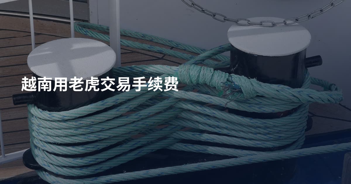 越南用老虎交易手续费