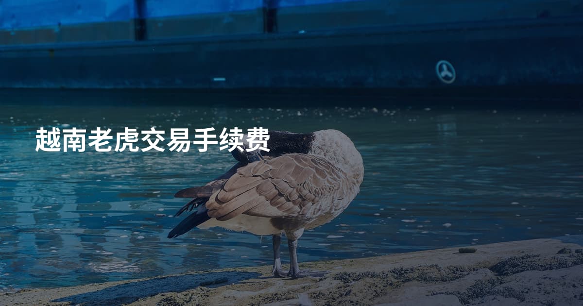 越南老虎交易手续费