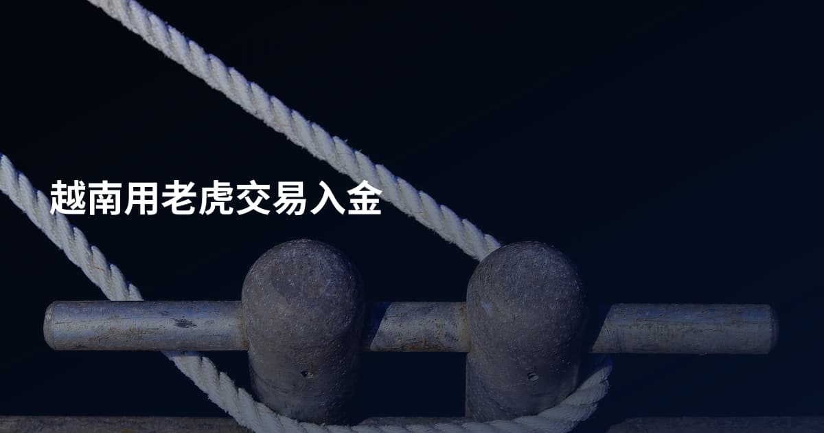 越南用老虎交易入金