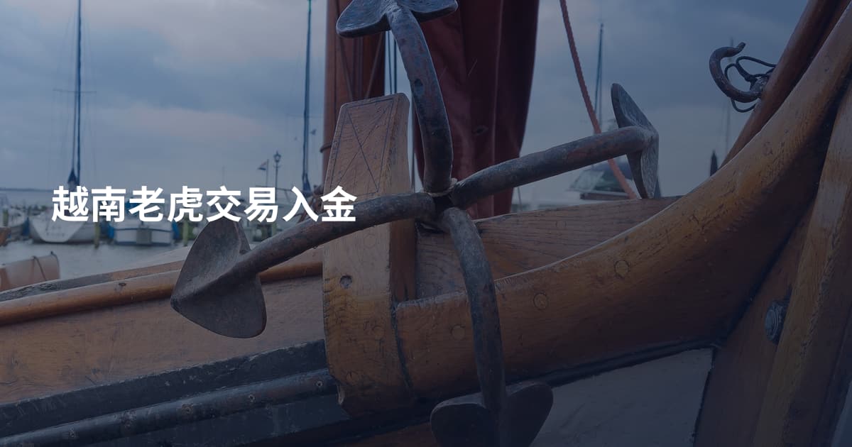 越南老虎交易入金