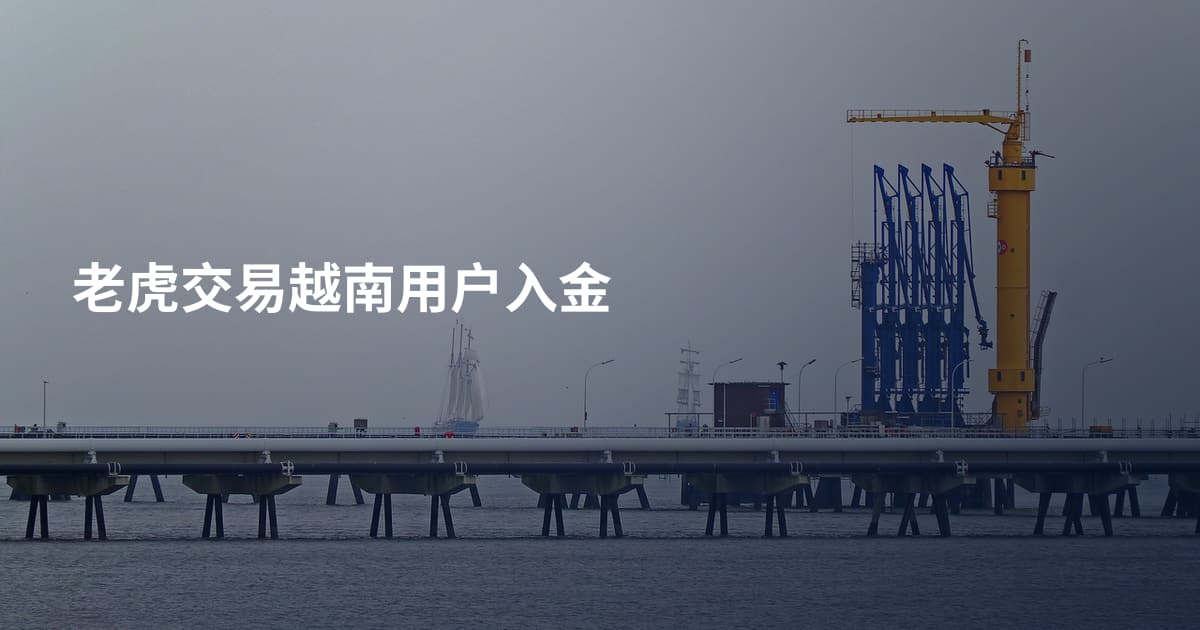 老虎交易越南用户入金
