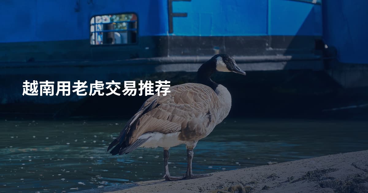 越南用老虎交易推荐