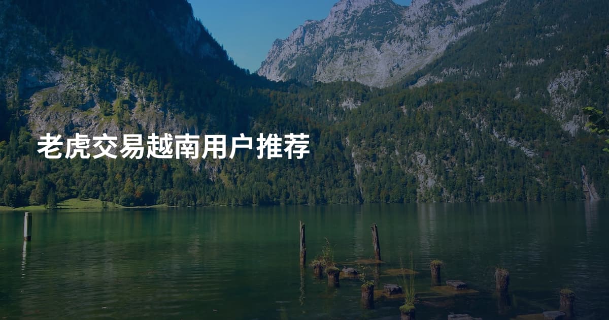 老虎交易越南用户推荐