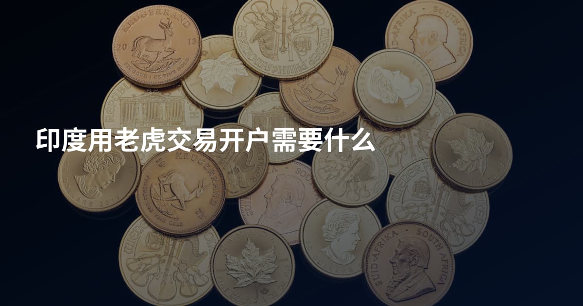 印度用老虎交易开户需要什么