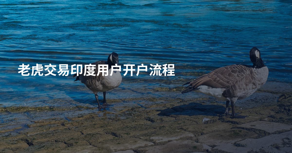 老虎交易印度用户开户流程
