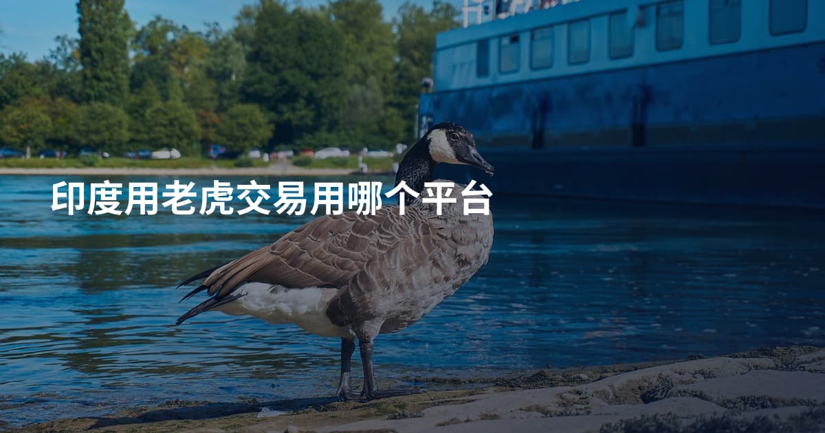 印度用老虎交易用哪个平台