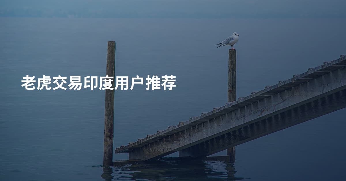 老虎交易印度用户推荐