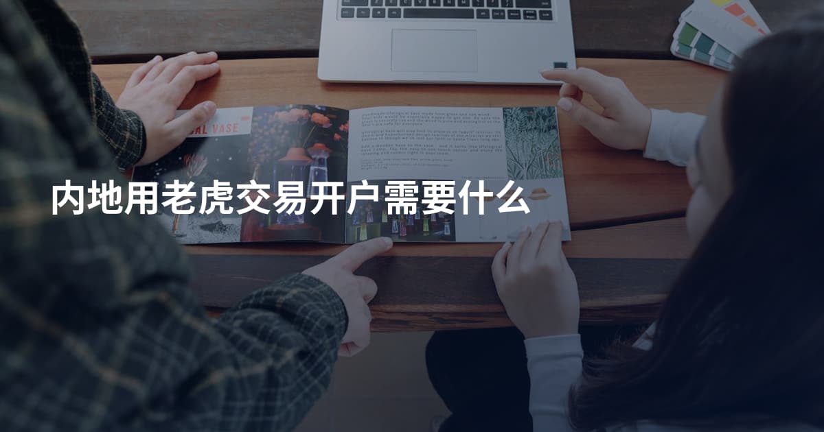 内地用老虎交易开户需要什么