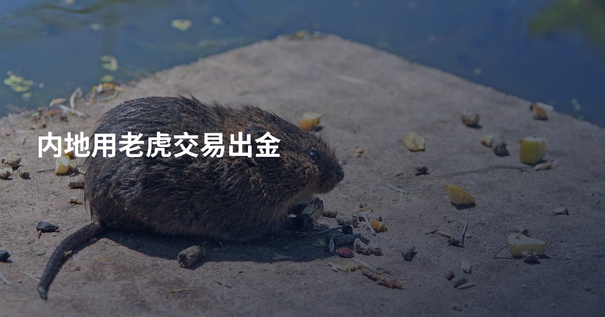 内地用老虎交易出金