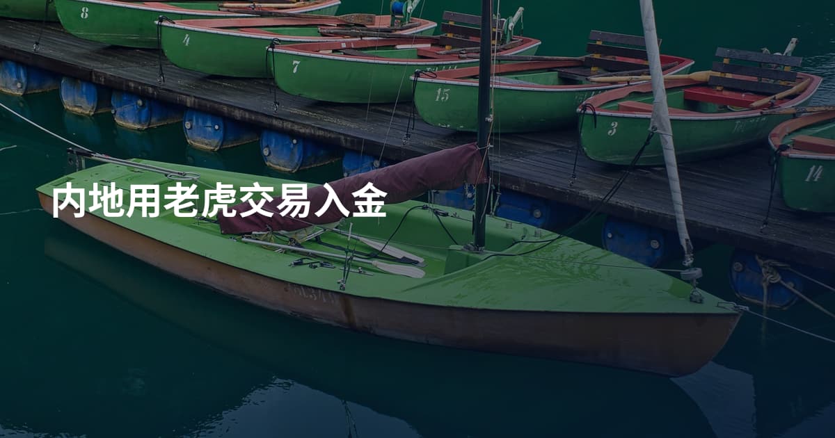 内地用老虎交易入金