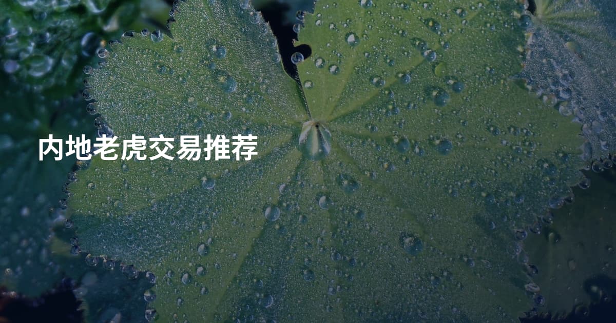 内地老虎交易推荐