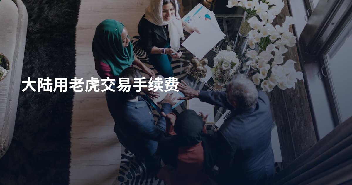 大陆用老虎交易手续费